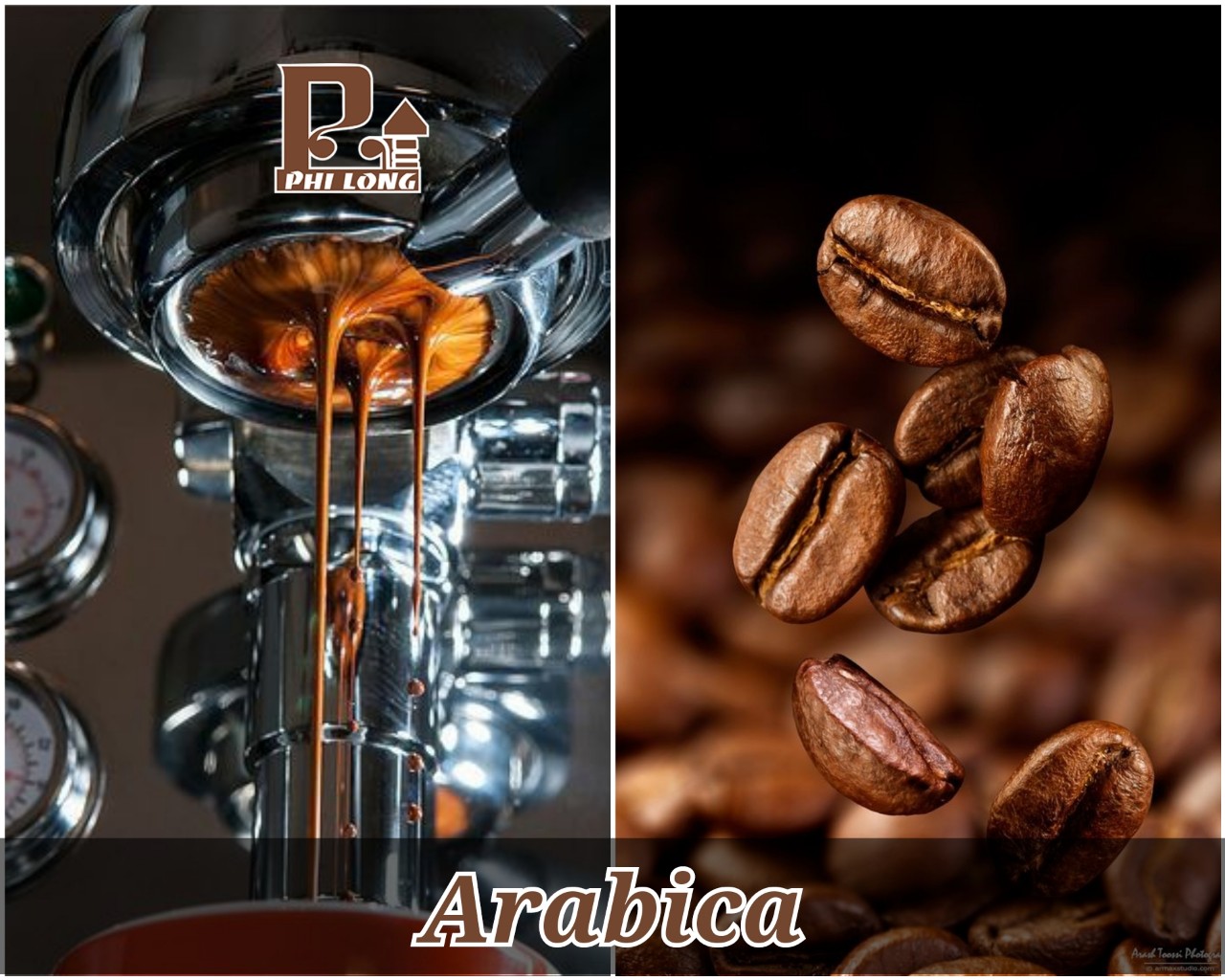 Cà phê hạt Arabica - Mix